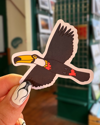 Dublin Sticker Sheet | Born & Bred