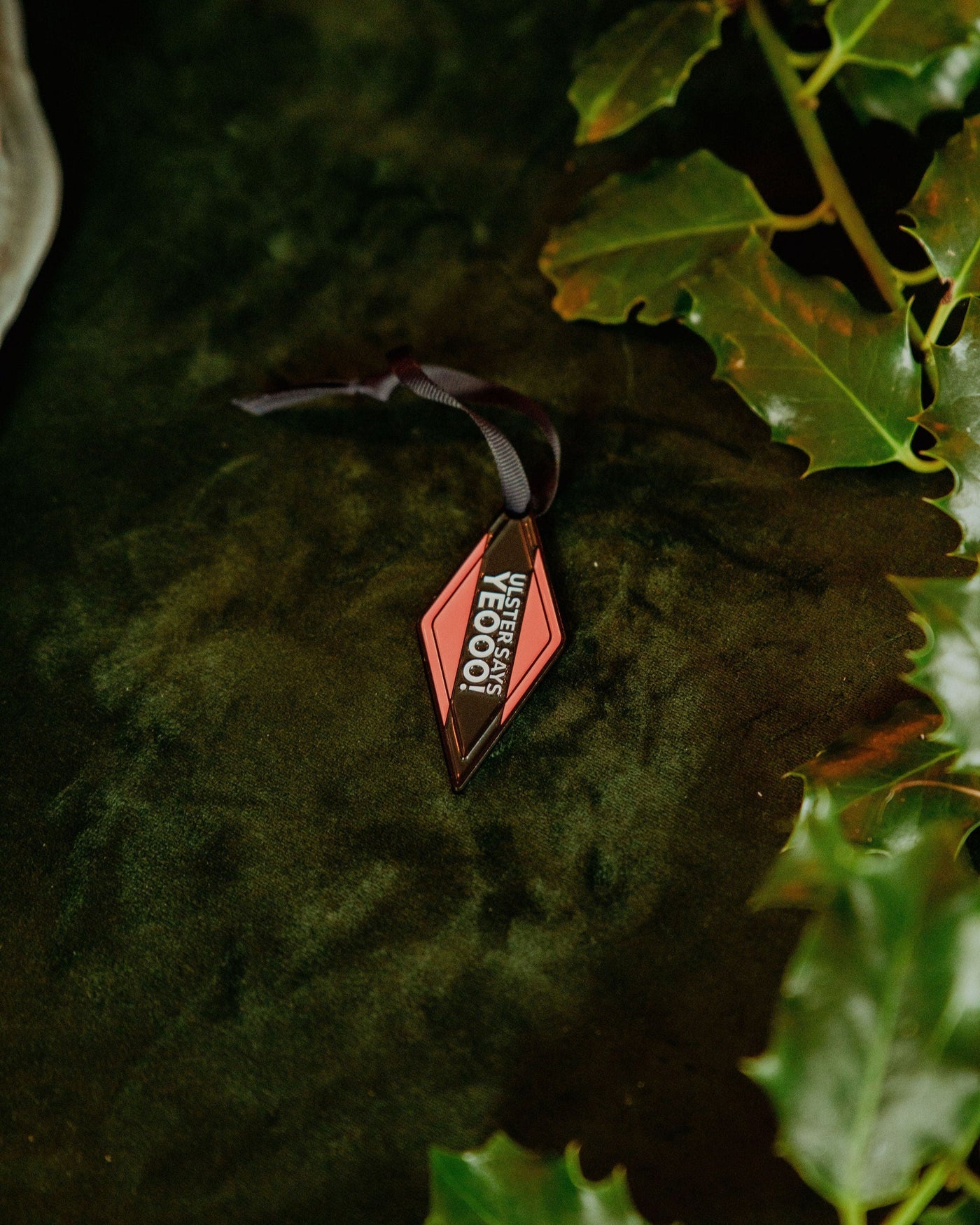 Ulster Says Yeooo Decoration | Born and Bred