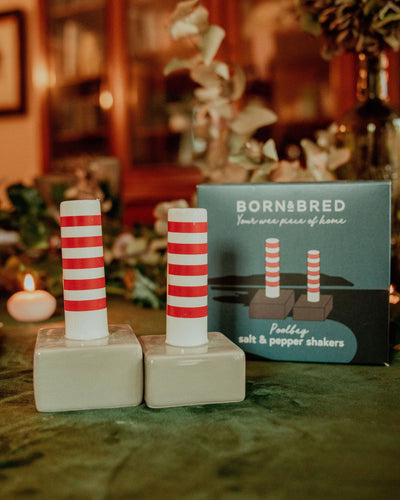 Poolbeg Towers Salt & Pepper Shakers | Born & Bred