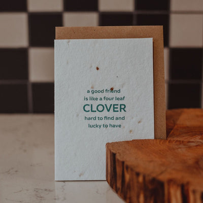 shamrock seed card Irish gift hamper corporate