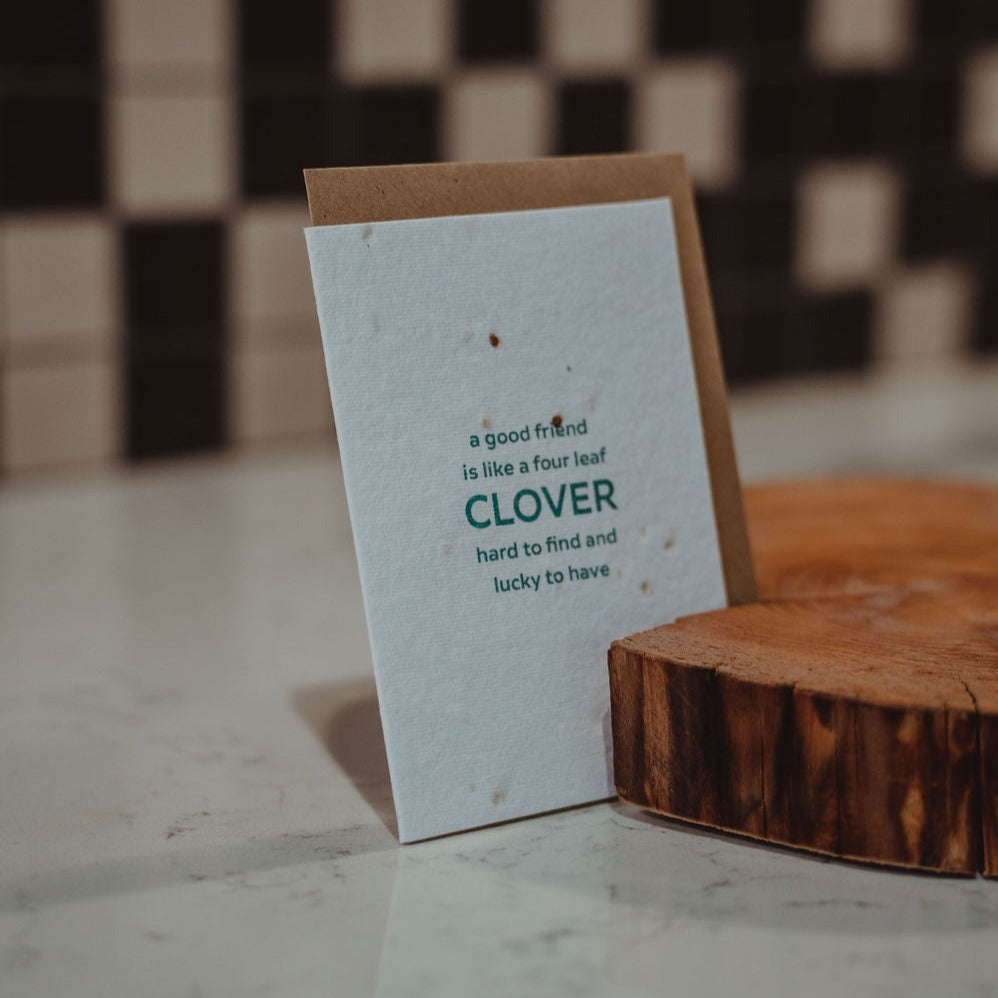 shamrock seed card Irish gift hamper corporate